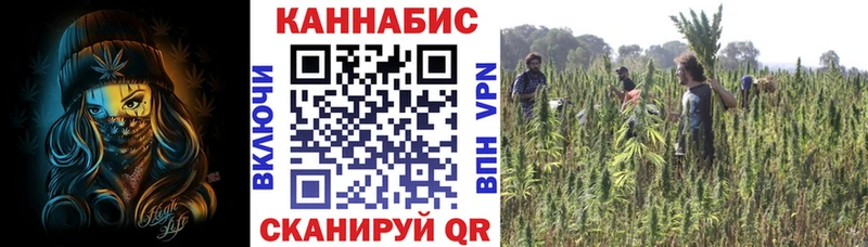 Где купить наркотики Димитровград А ПВП МЕФ