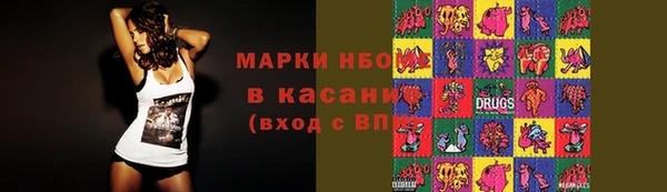 стаф Абинск