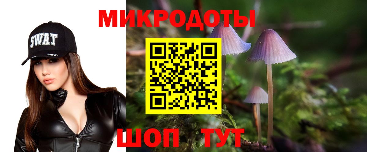 Псилоцибиновые грибы MAGIC MUSHROOMS  Вход с VPN  Галлюциногенные грибы мухоморы  Димитровград 